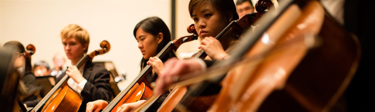 Orchestra Orchestra